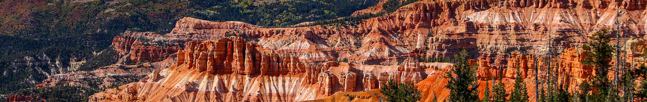 cedar mountain utah zion tour