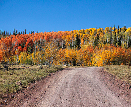 cedar mountain utah fall zion tour