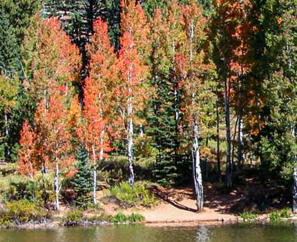 fall zion hiking tours