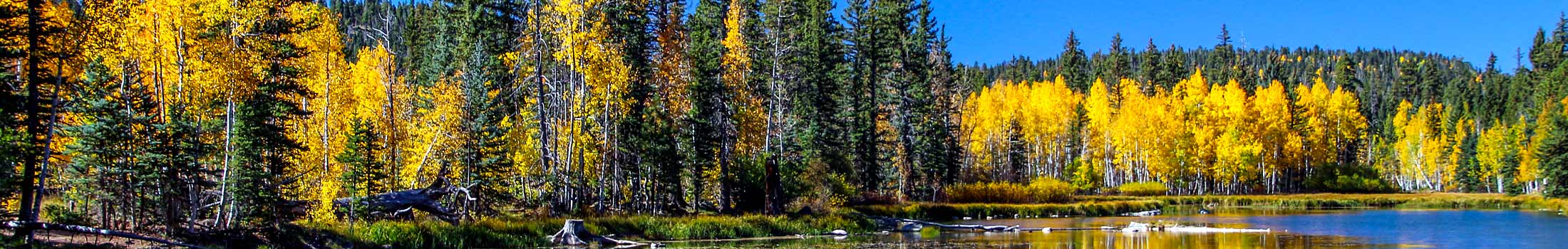 fall zion guided hiking tours southwest utah