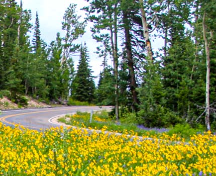 spring zion hiking tours