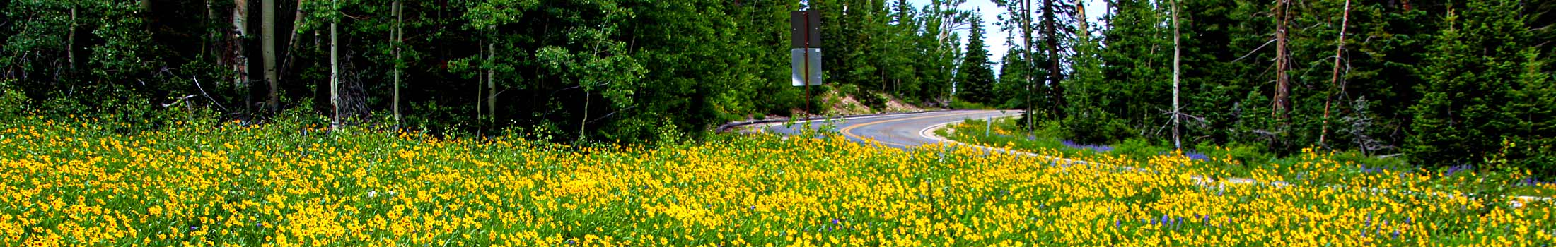 spring zion guided hiking tours southwest utah