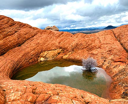 the vortex utah zion tour