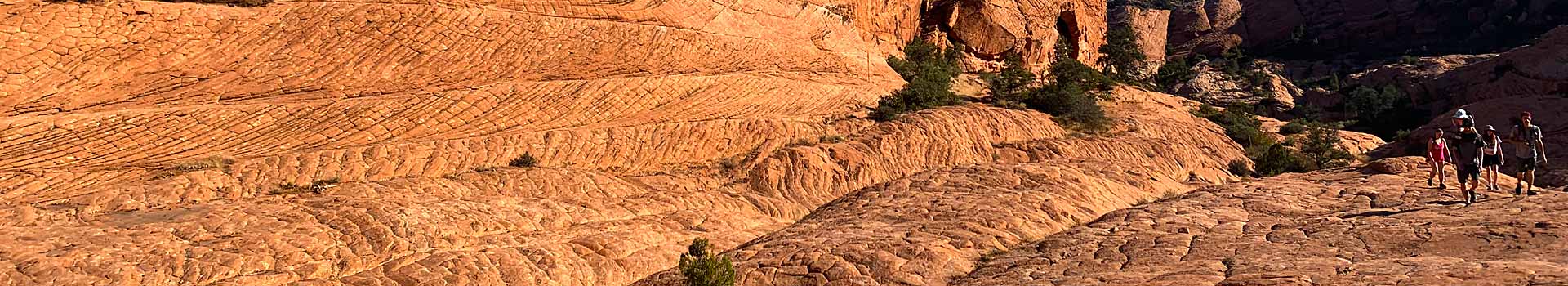 the vortex utah zion tour