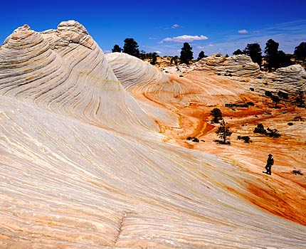 The white wave utah zion tour