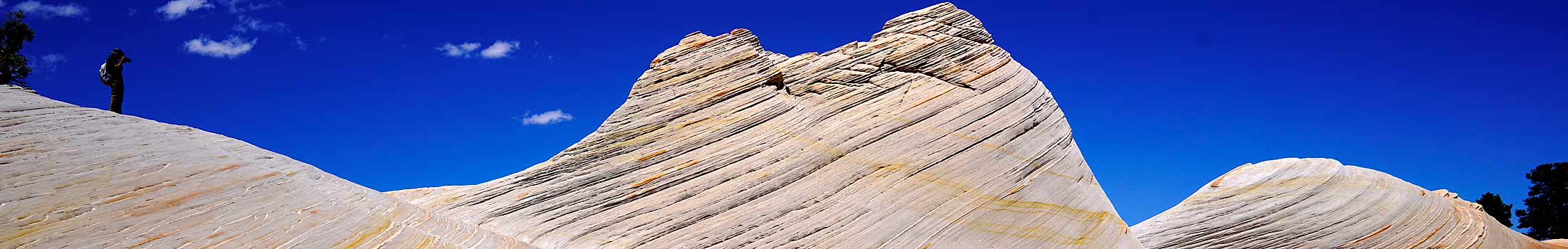 The white wave utah zion tour