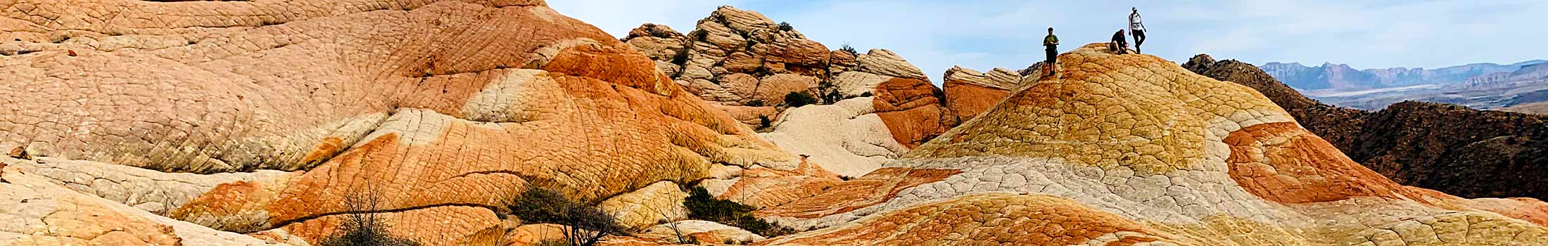 yant flat utah zion tour